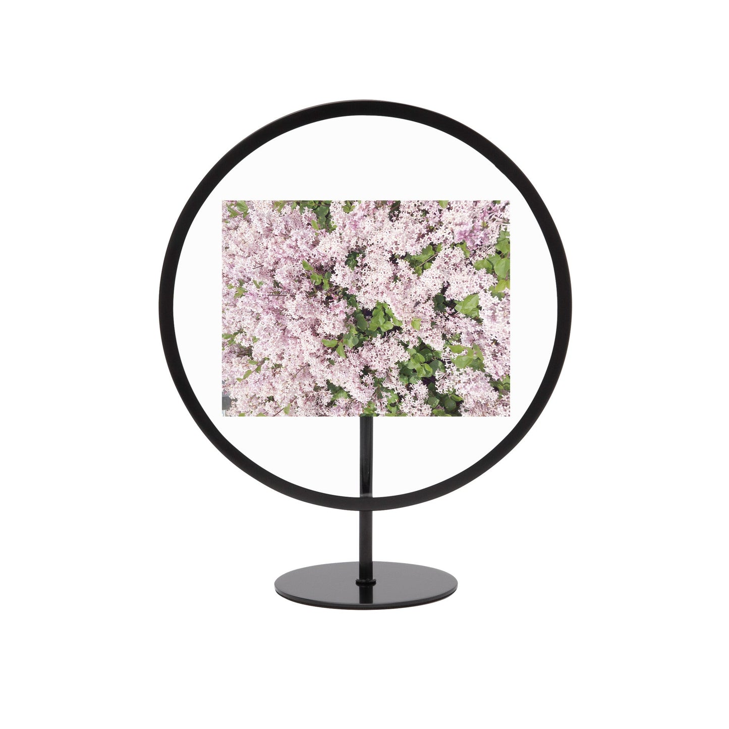 Infinity Picture Frame