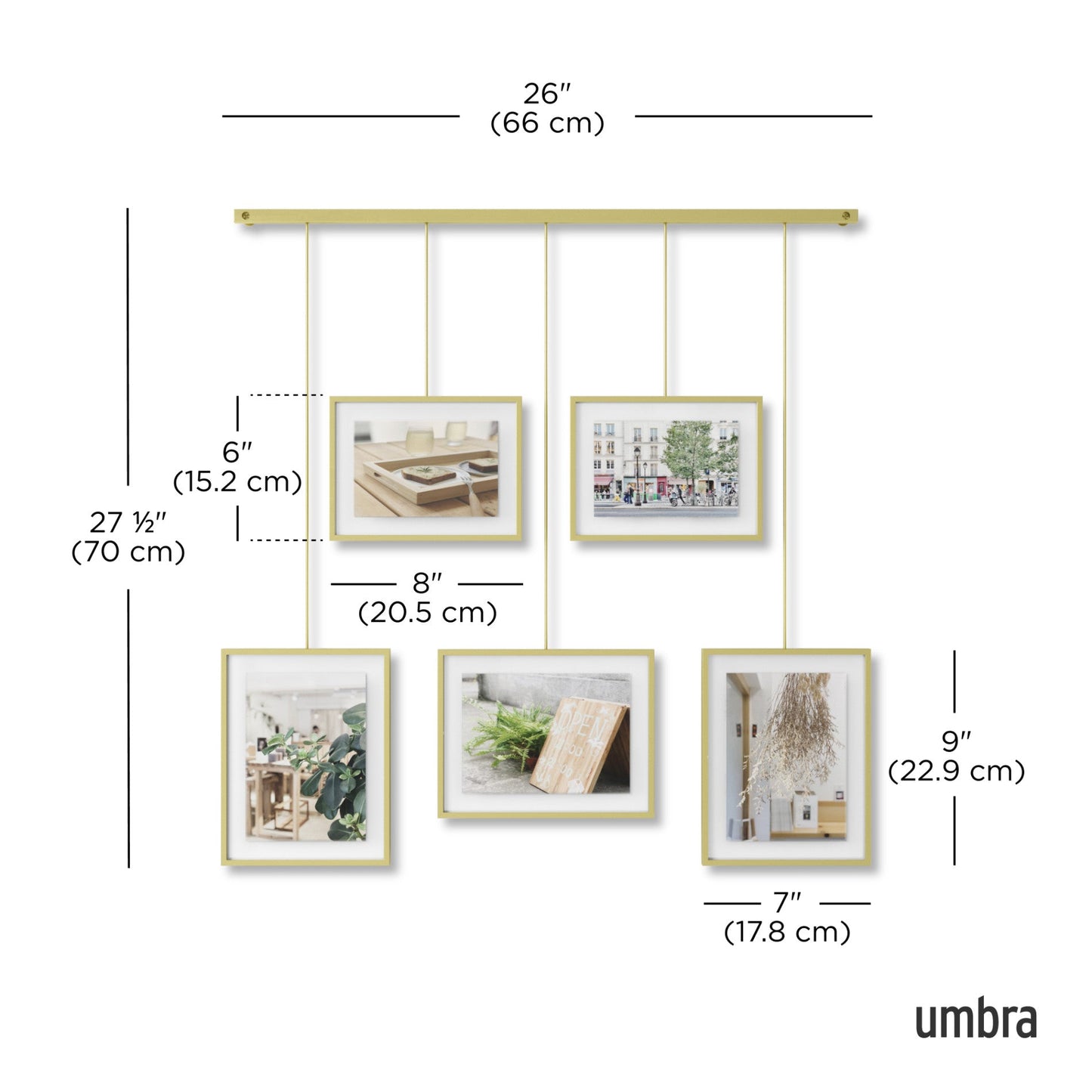 Exhibit Wall Picture Frames, Set of 5